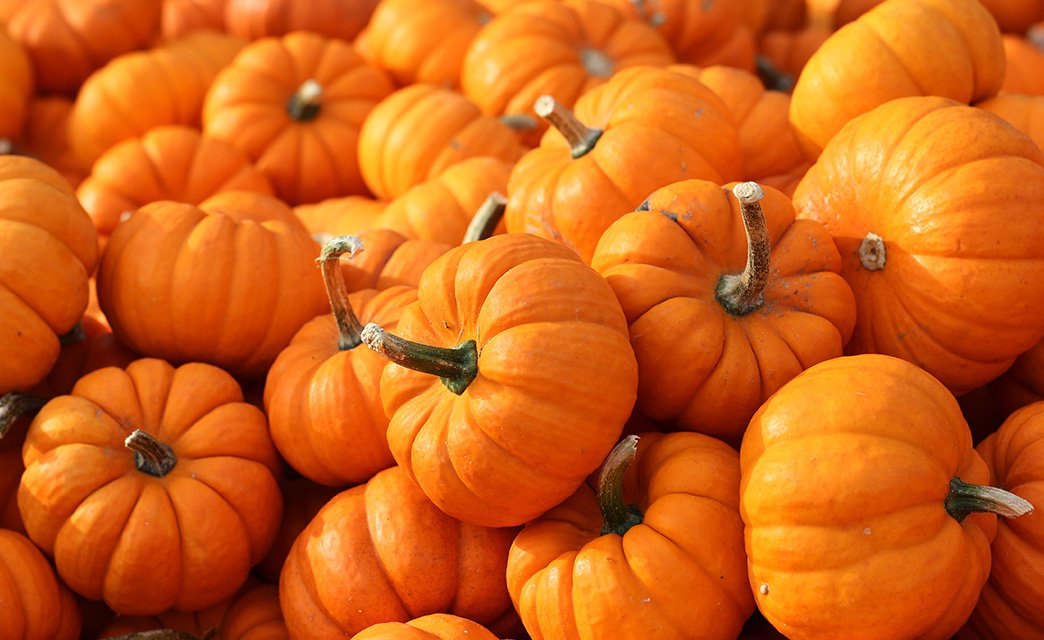 Halloween Events on the Isle of Wight